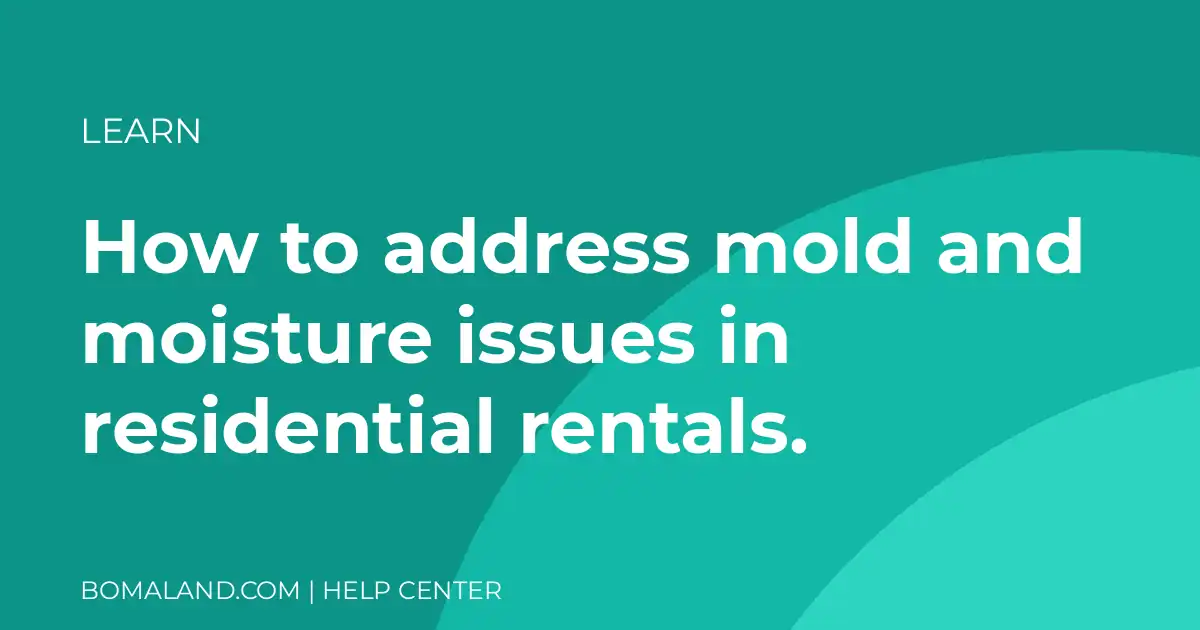 How to address mold and moisture issues in residential rentals.