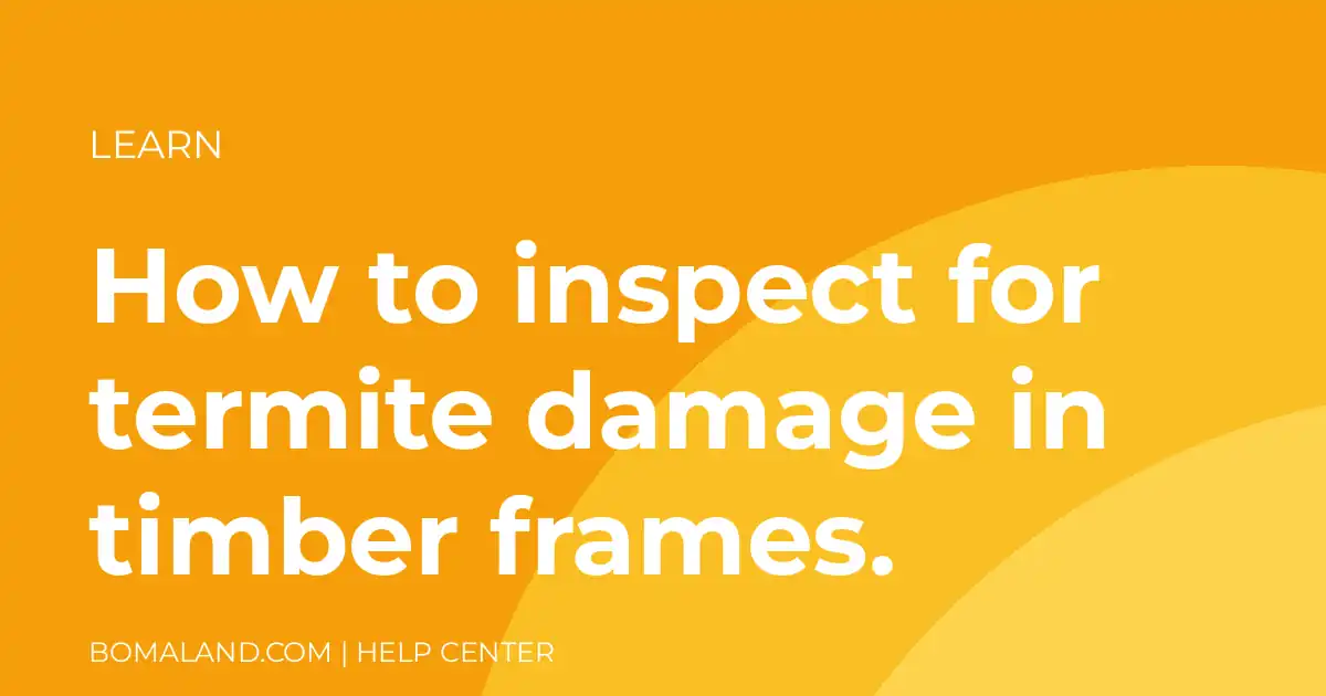 How to inspect for termite damage in timber frames.