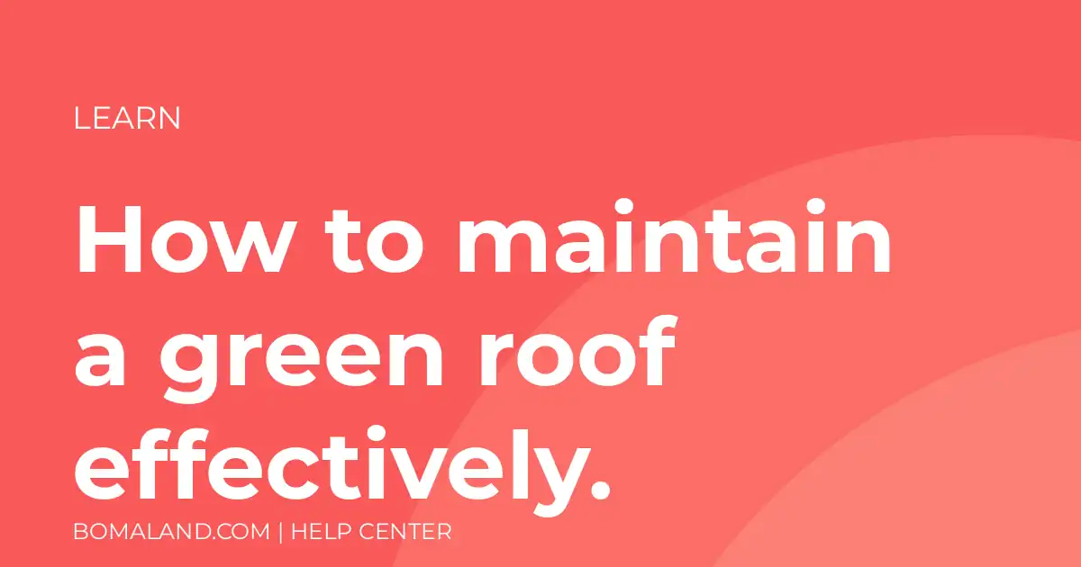 How to maintain a green roof effectively.