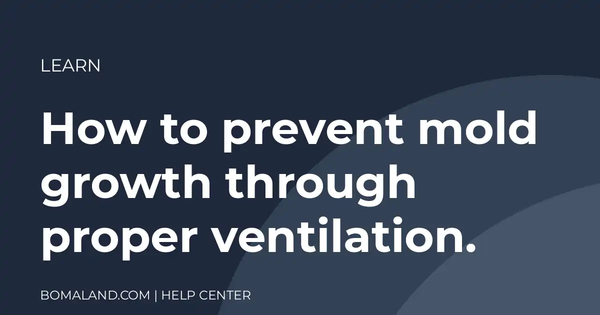 How to prevent mold growth through proper ventilation.