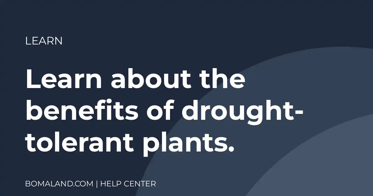 Learn about the benefits of drought-tolerant plants.