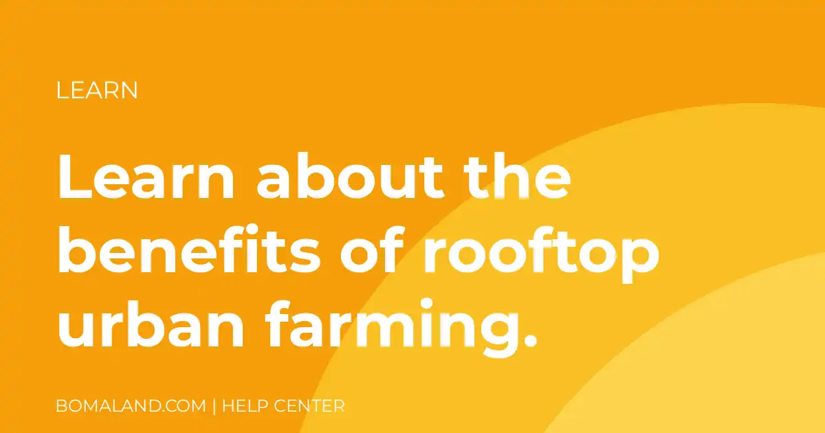 Learn about the benefits of rooftop urban farming.