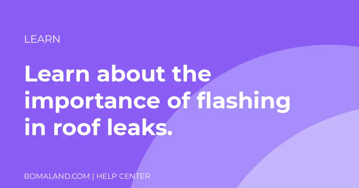 Learn about the importance of flashing in roof leaks.
