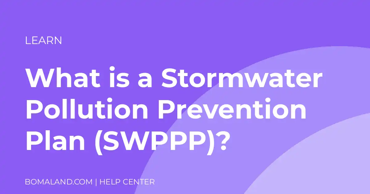 What is a Stormwater Pollution Prevention Plan (SWPPP)?