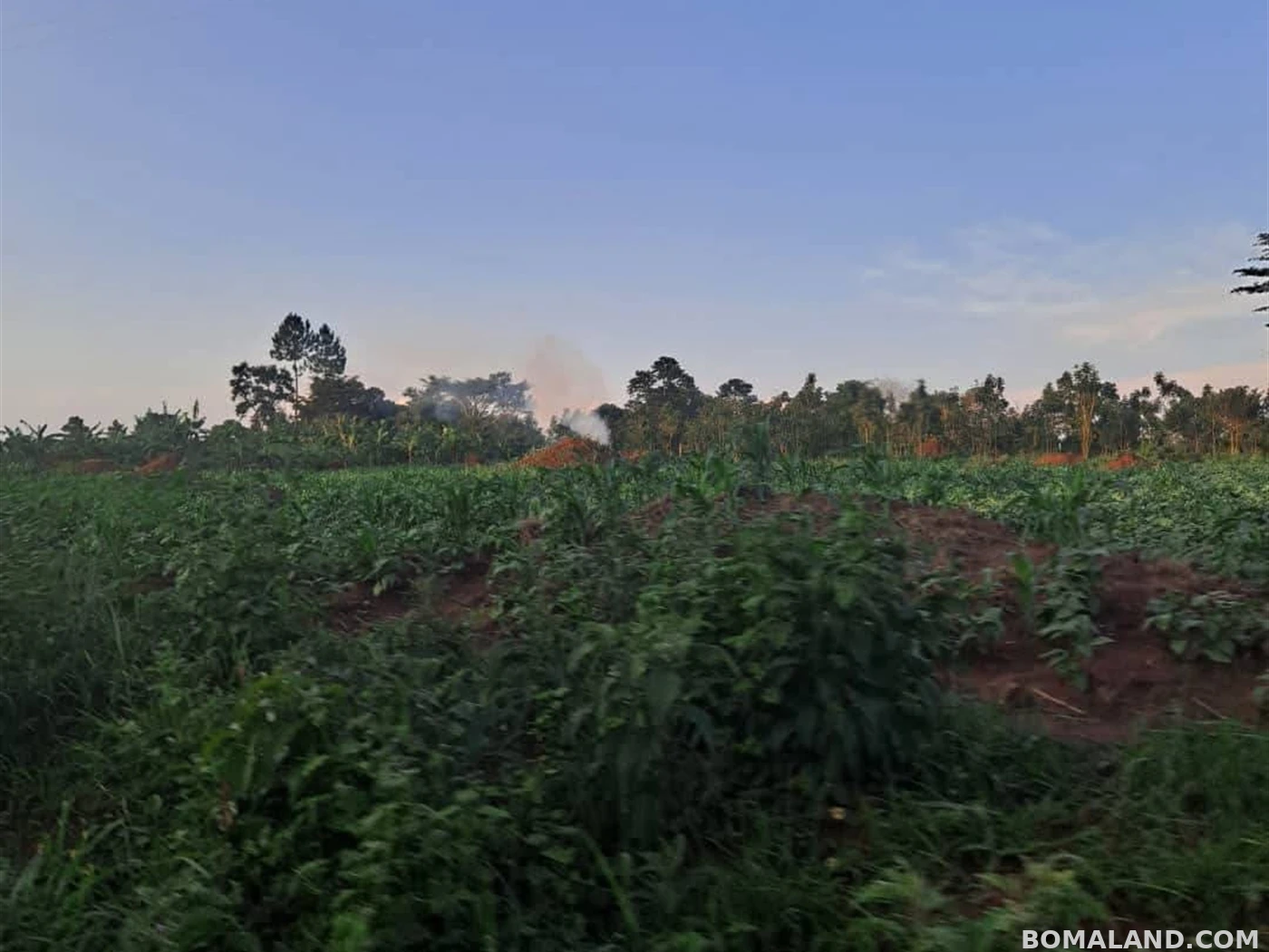 Agricultural Land for sale in Kiwoko Luweero Uganda
