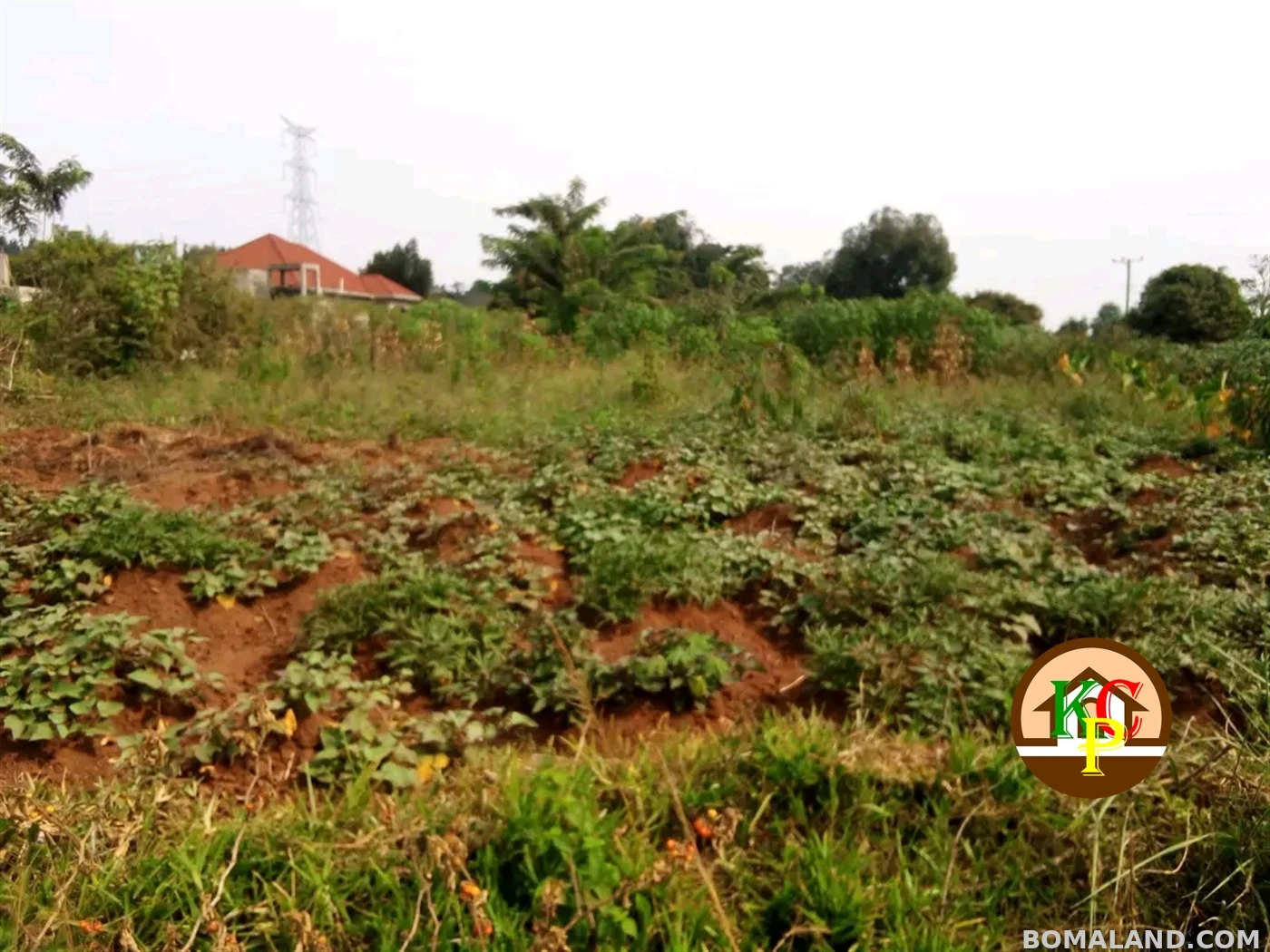 Commercial Land for sale in Sonde Mukono Uganda