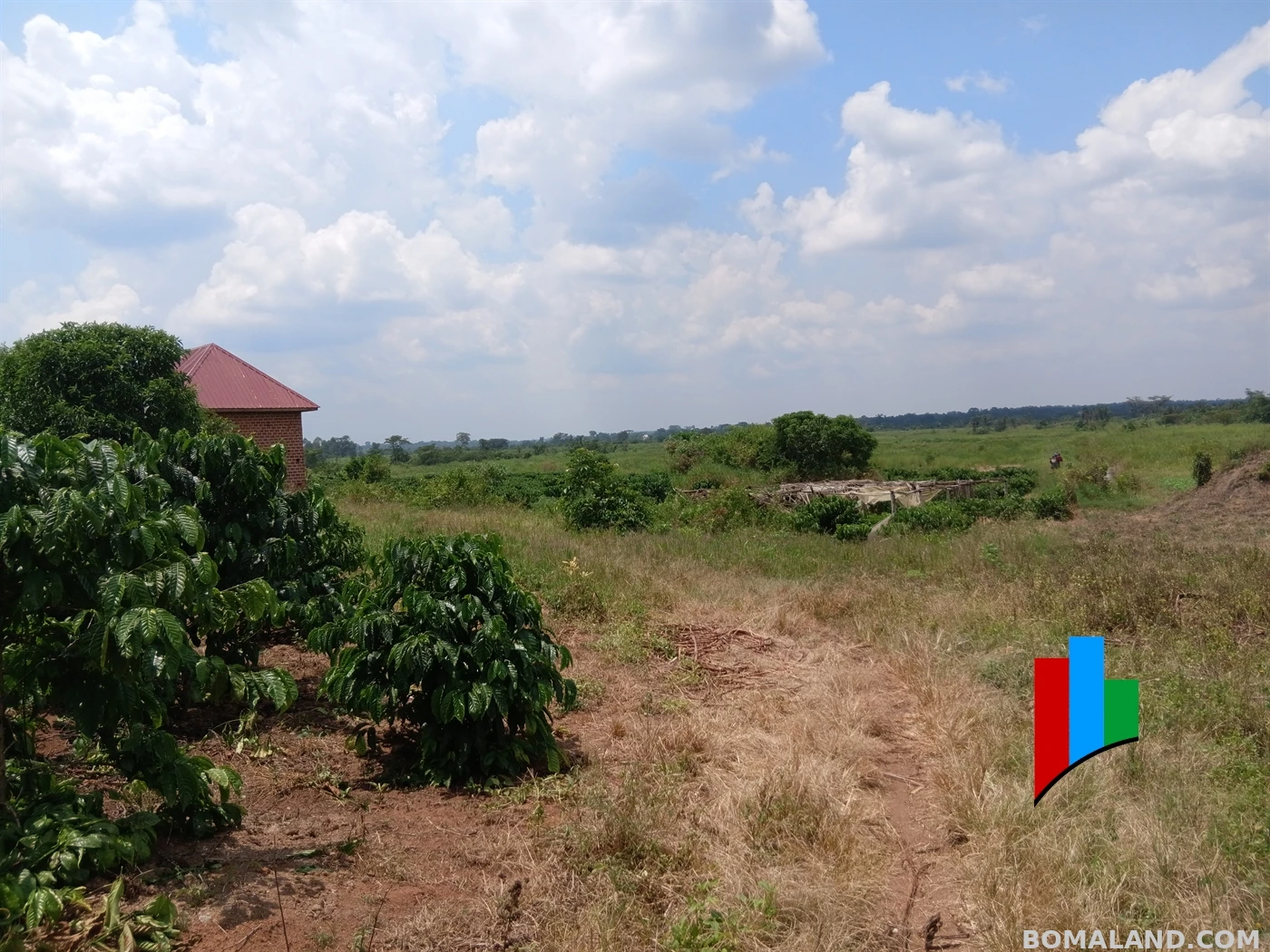 Agricultural Land for sale in Kiwoko Nakaseke Uganda