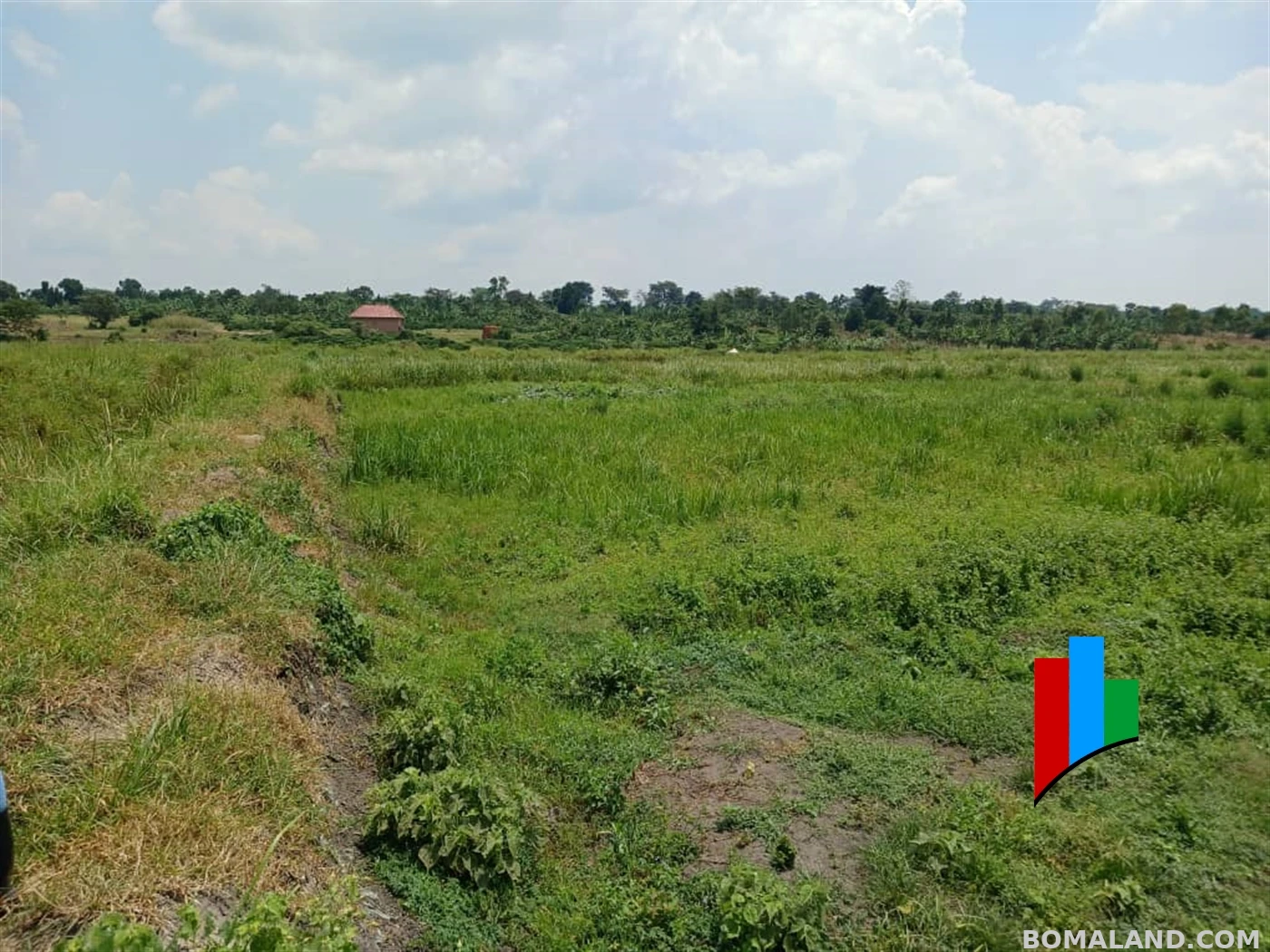 Agricultural Land for sale in Kiwoko Nakaseke Uganda