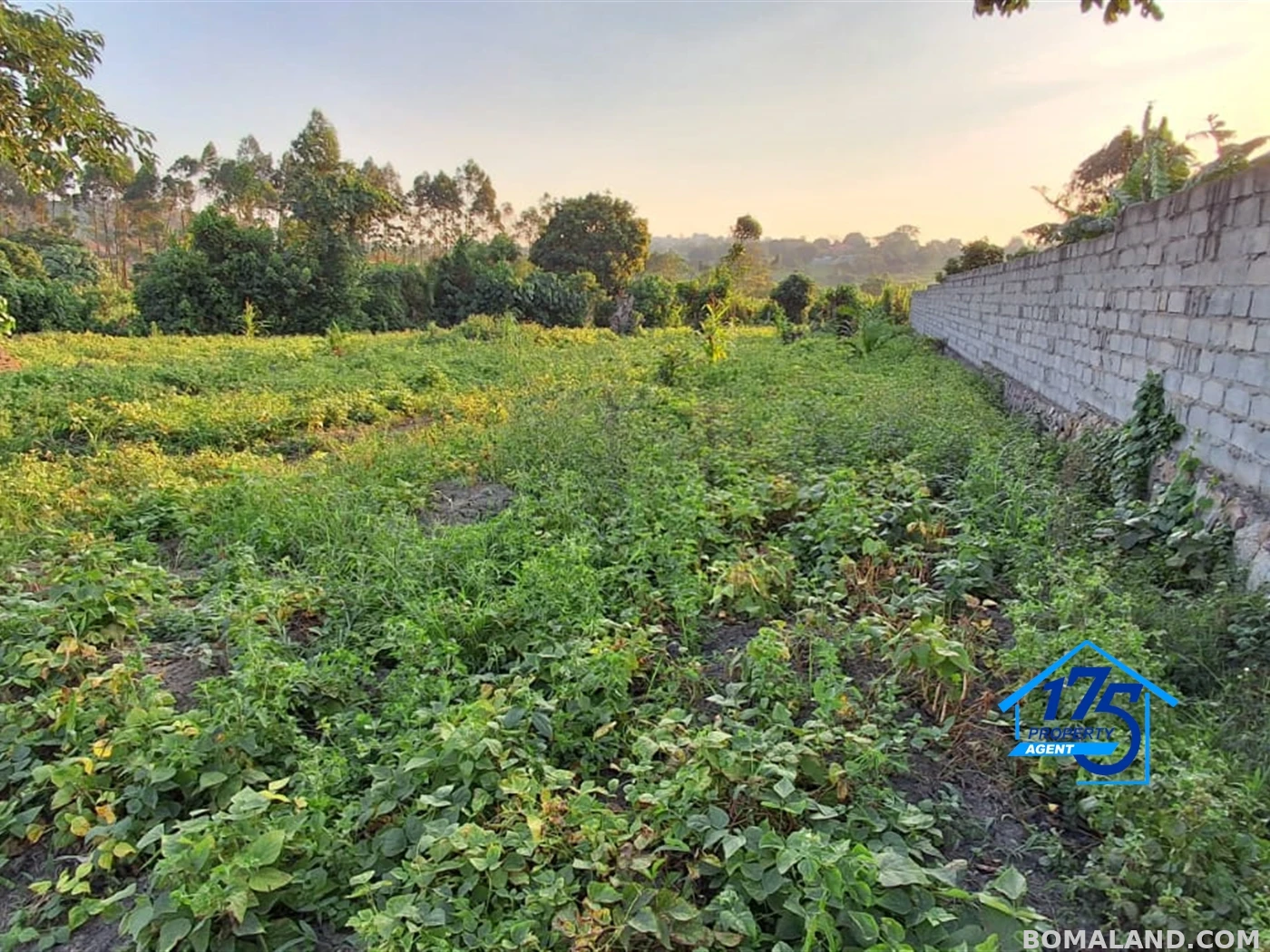 Residential Land for sale in Kira Wakiso Uganda