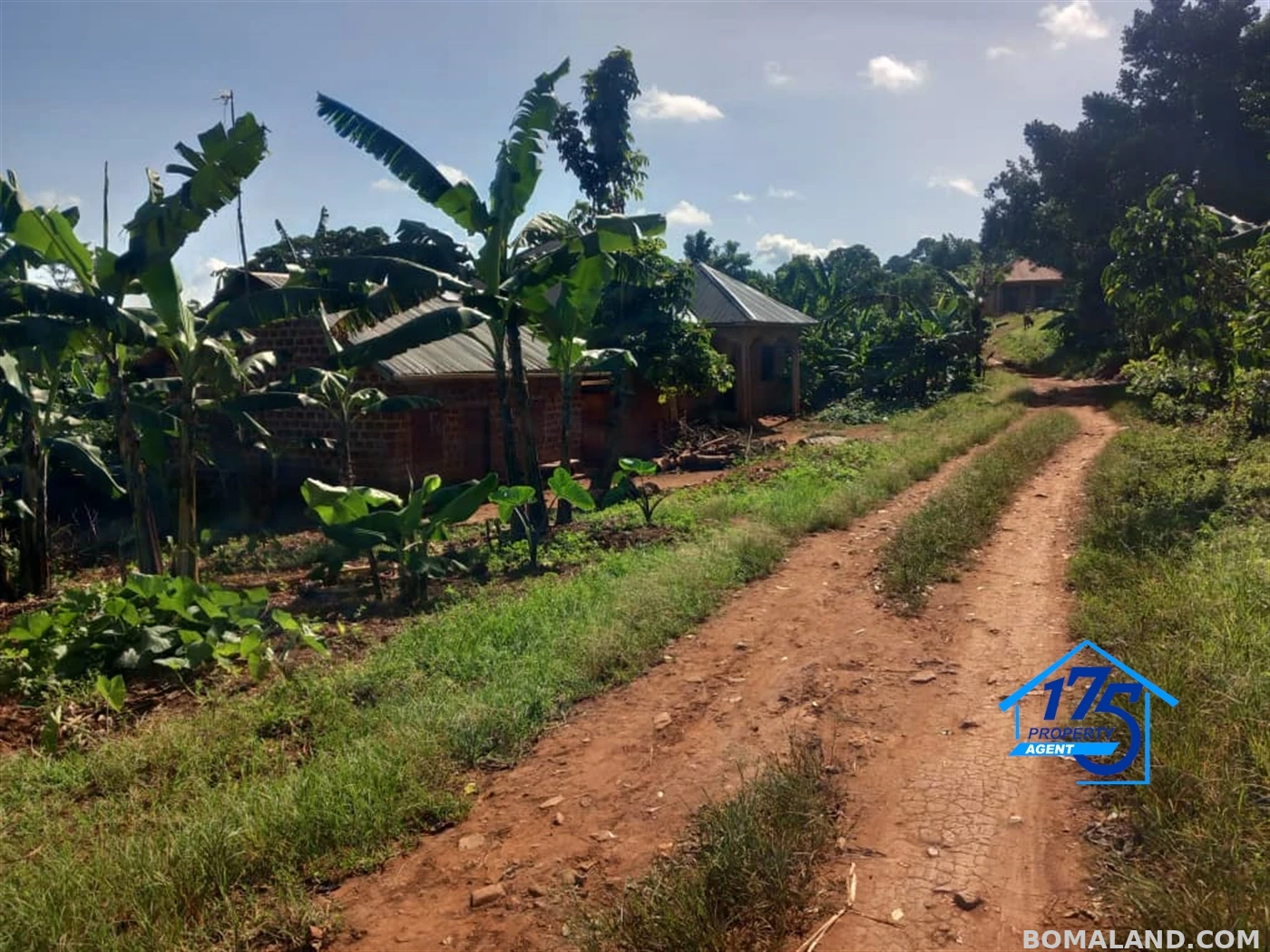 Agricultural Land for sale in Kisoga Mukono Uganda