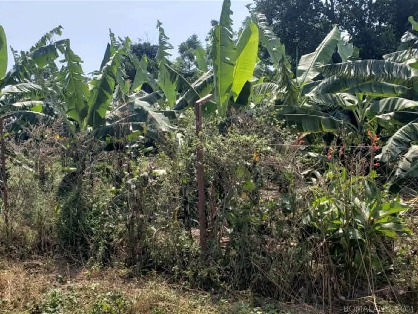 Residential Land for sale in Garuga Wakiso Uganda