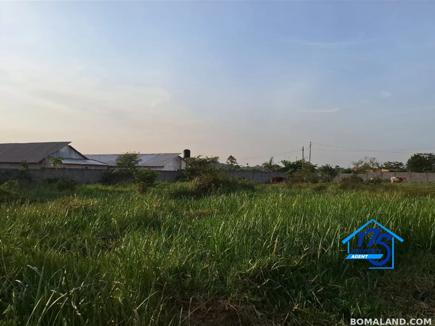 Residential Land for sale in Nabusugwe Wakiso Uganda