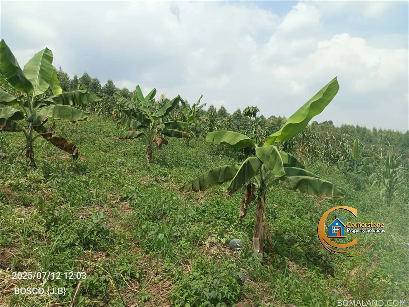 Agricultural Land for sale in Minanna Mityana Uganda