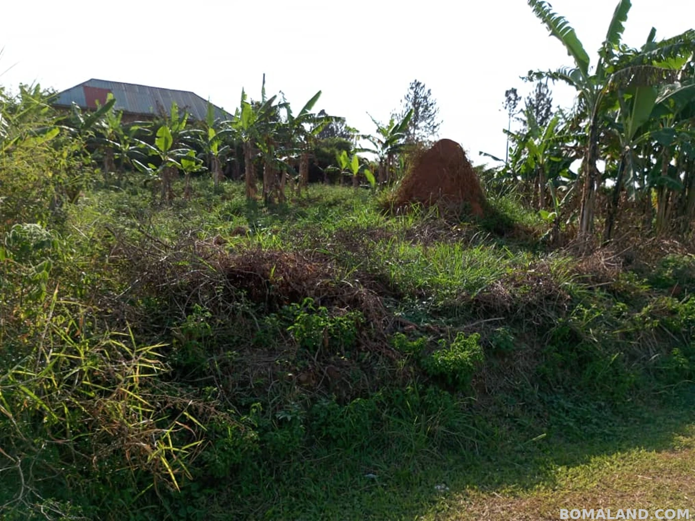 Residential Land for sale in Mpoma Mukono Uganda
