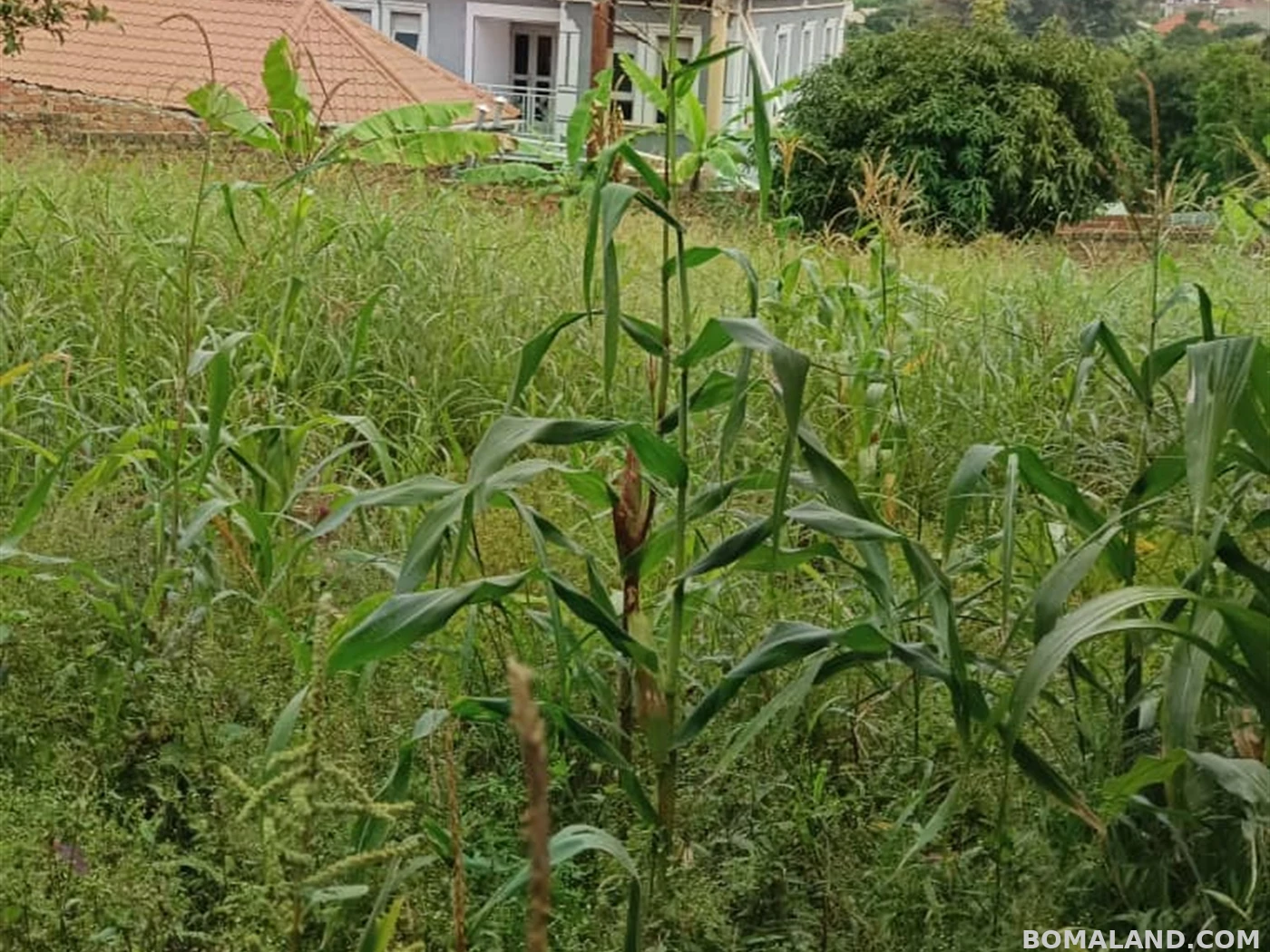Residential Land for sale in Bwebajja Wakiso Uganda