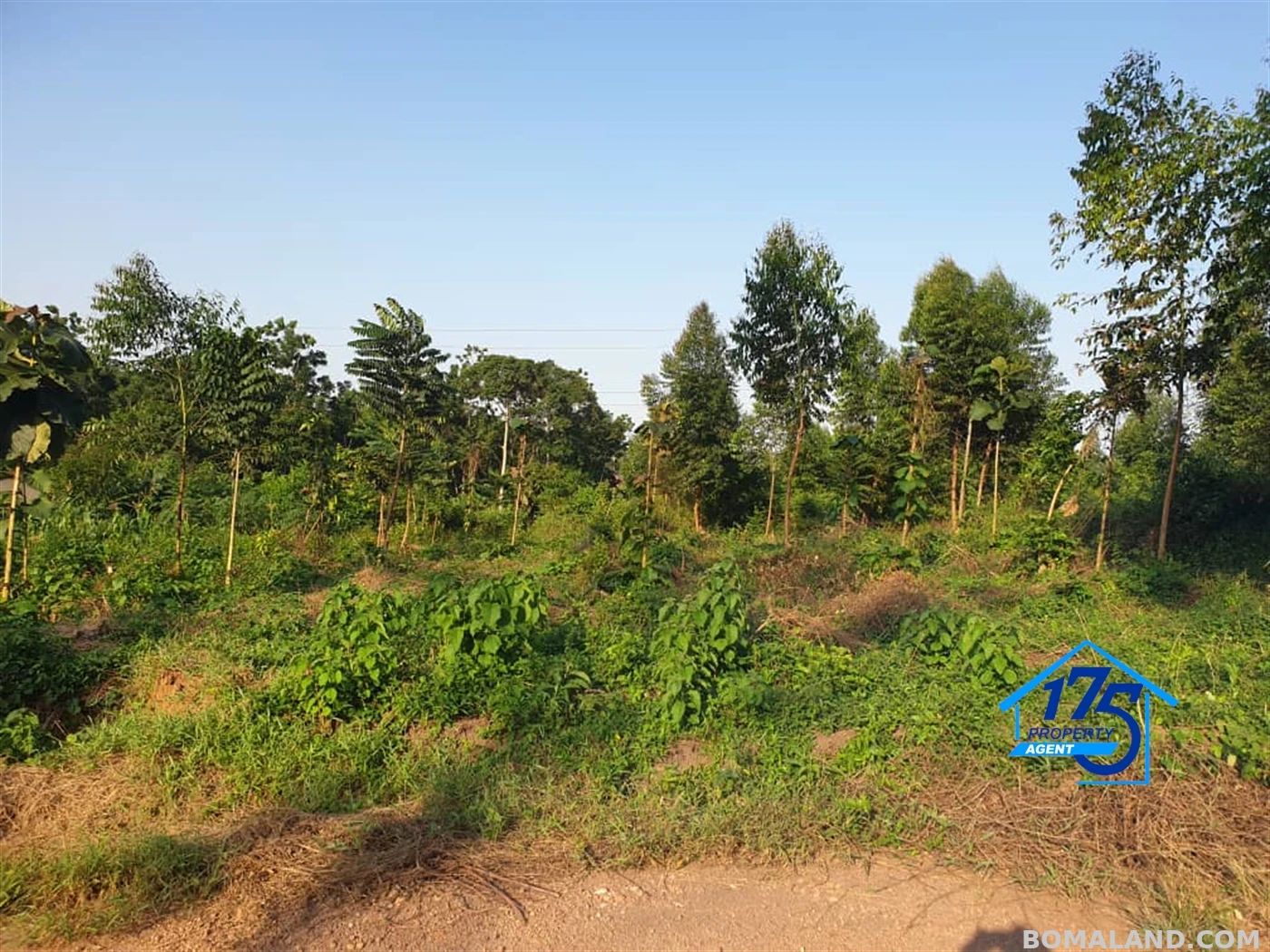 Residential Land for sale in Migade Wakiso Uganda