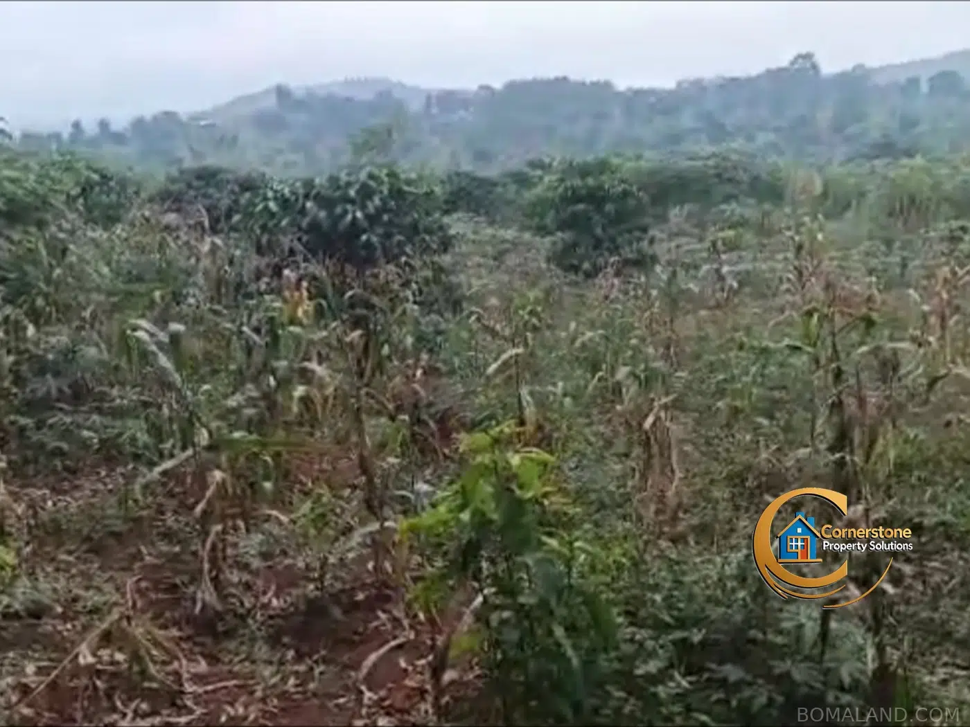 Agricultural Land for sale in Kiyanja Mukono Uganda