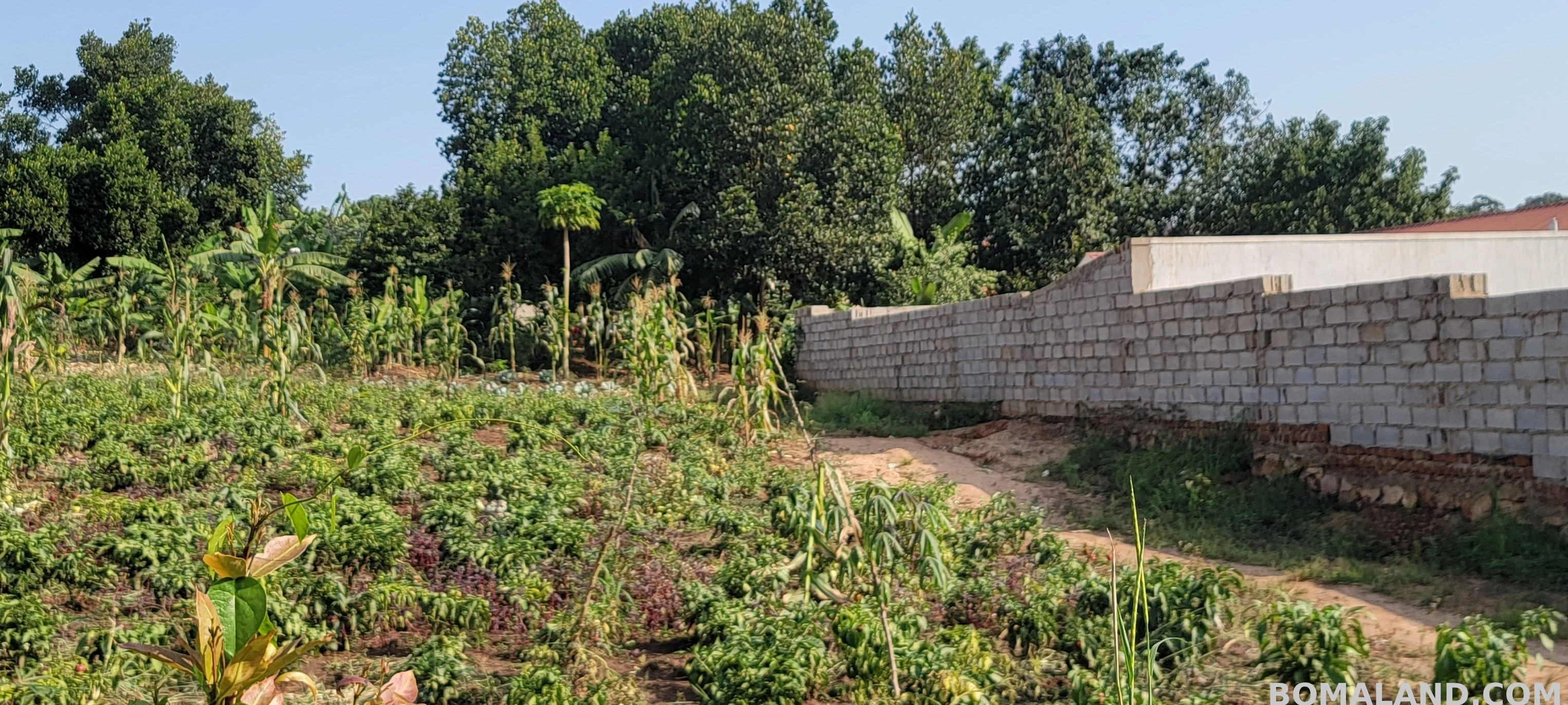 Residential Land for sale in Kyanja Kampala Uganda