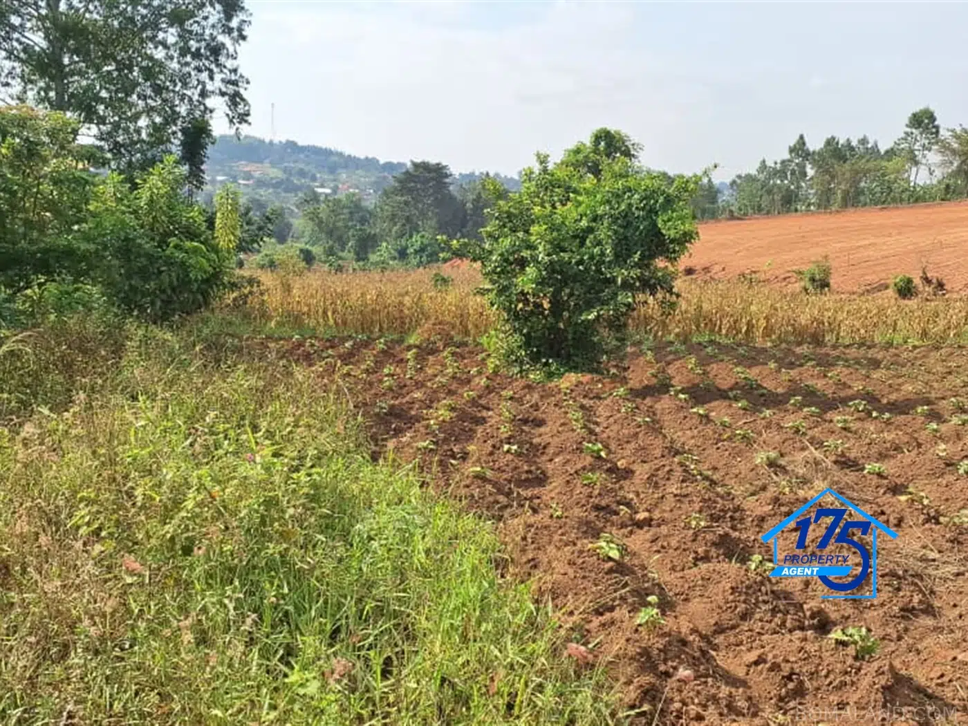 Residential Land for sale in Gayaza Wakiso Uganda