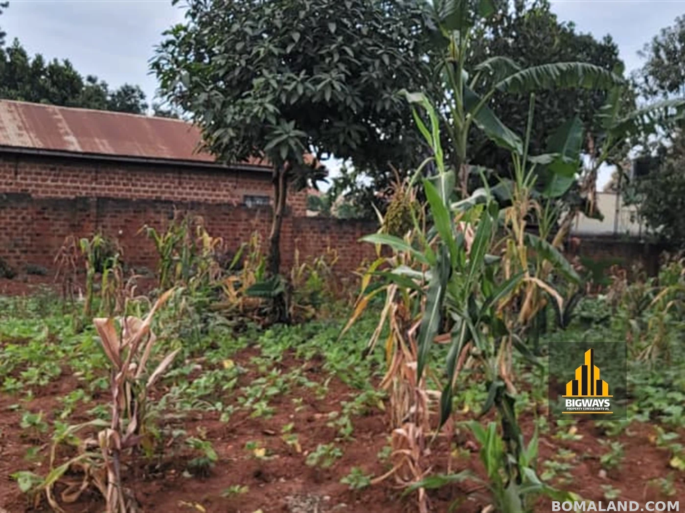 Residential Land for sale in Kiwaatule Kampala Uganda