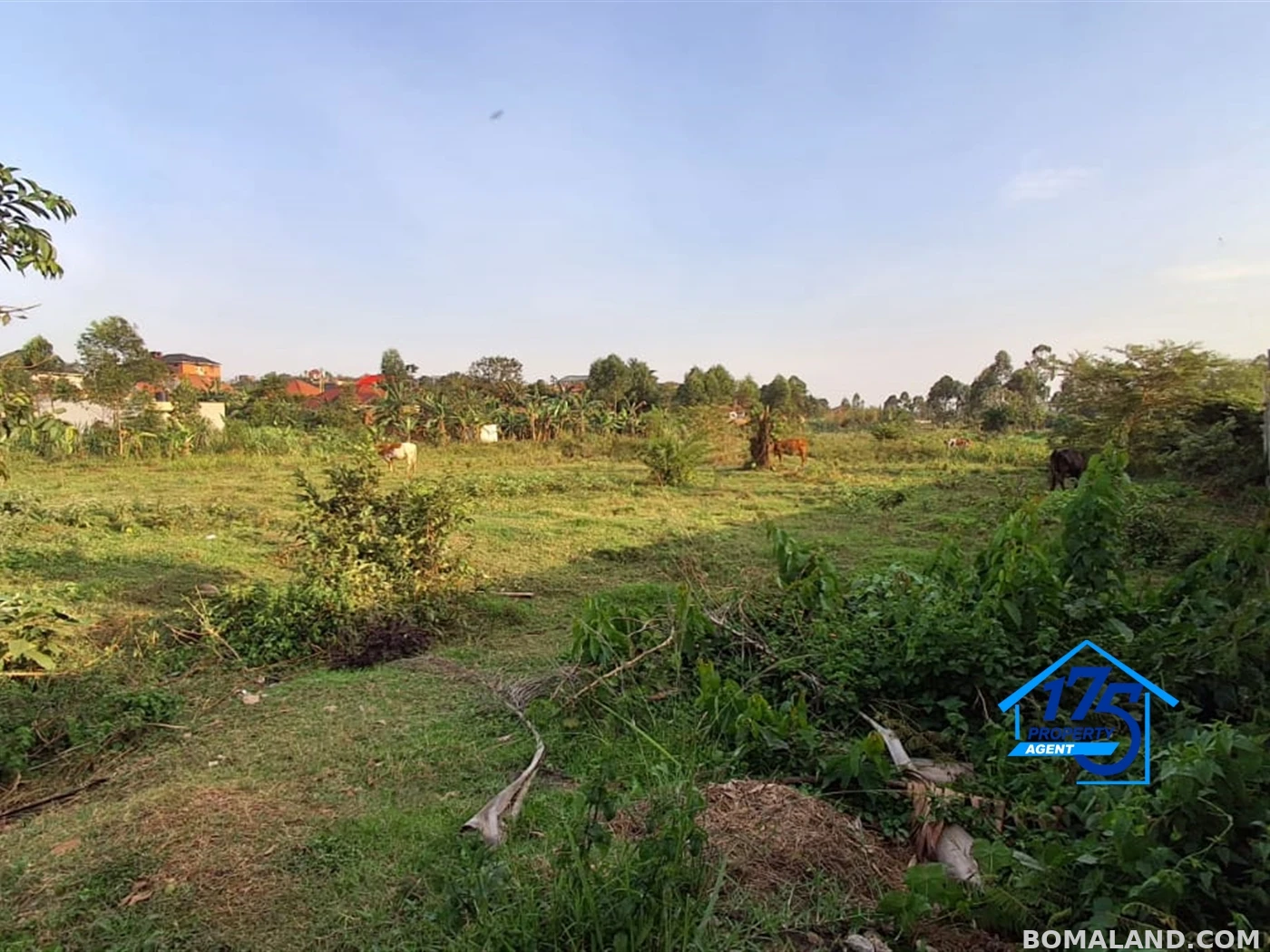 Residential Land for sale in Nabusugwe Wakiso Uganda