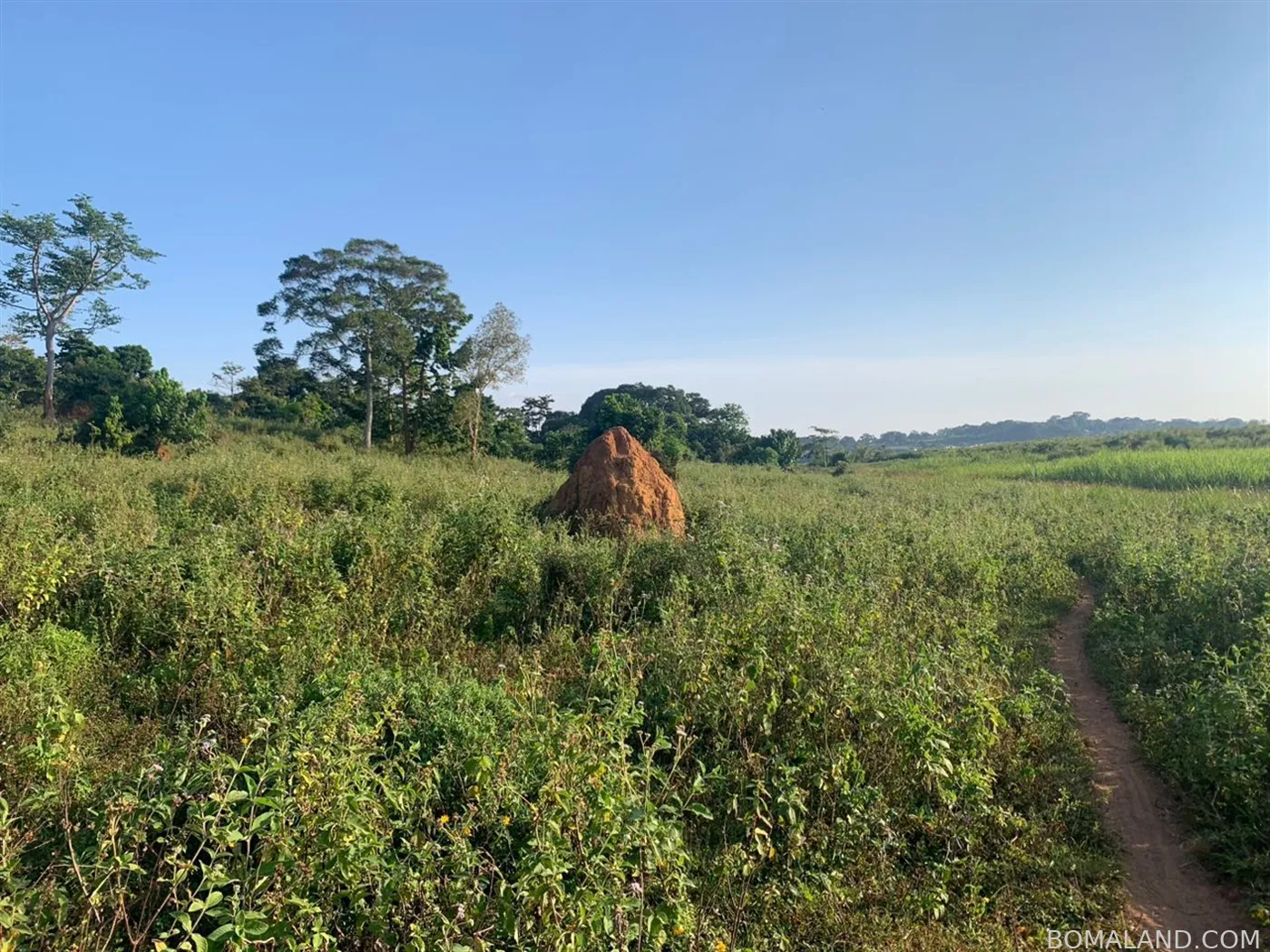 Recreational Land for sale in Katosi Mukono Uganda