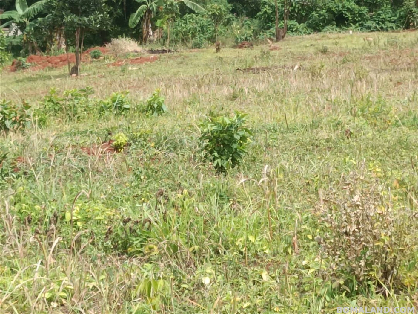 Residential Land for sale in Entebbe Wakiso Uganda