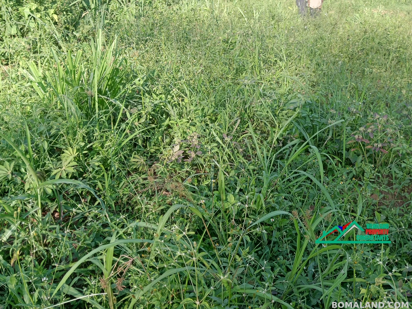 Industrial Land for sale in Kireka Kampala Uganda