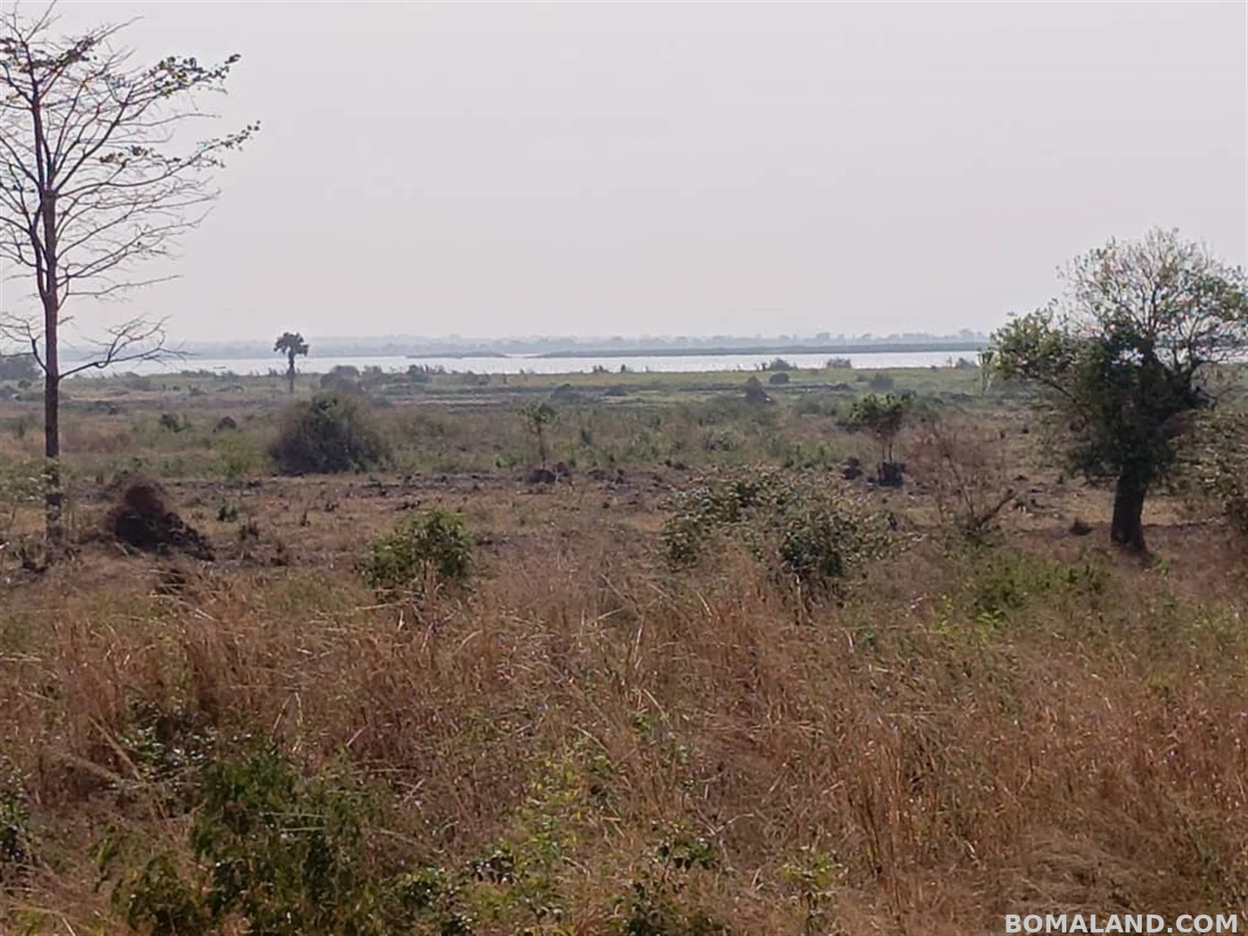 Agricultural Land for sale in Galilaya Kayunga Uganda