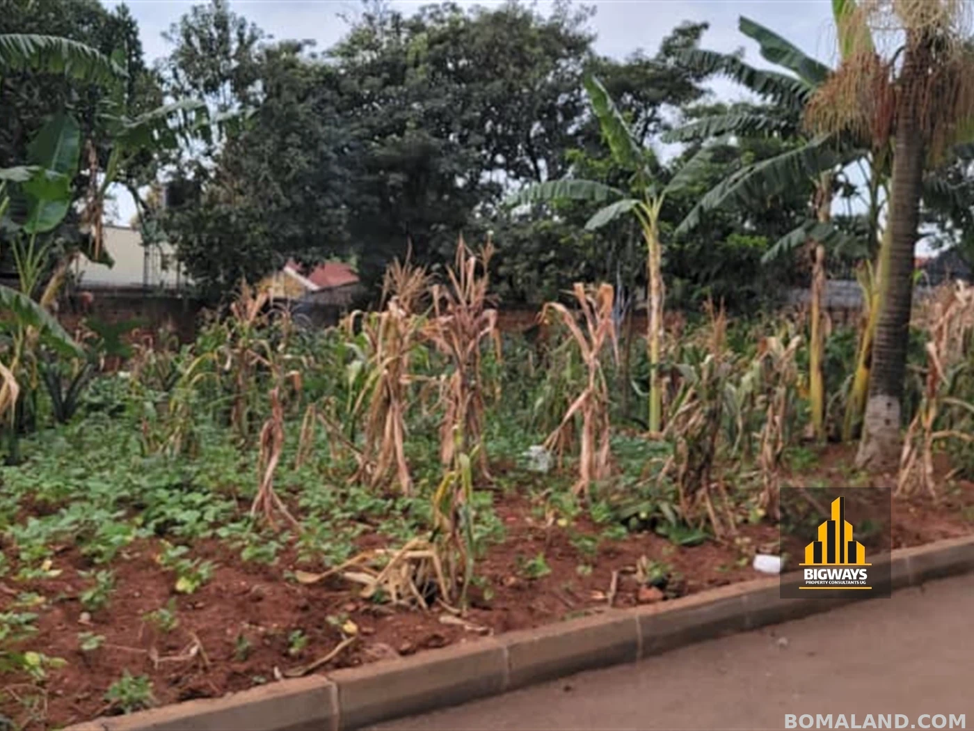 Residential Land for sale in Kiwaatule Kampala Uganda