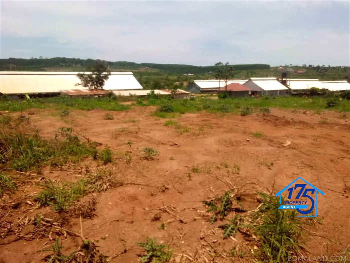 Residential Land for sale in Bukeelele Mukono Uganda