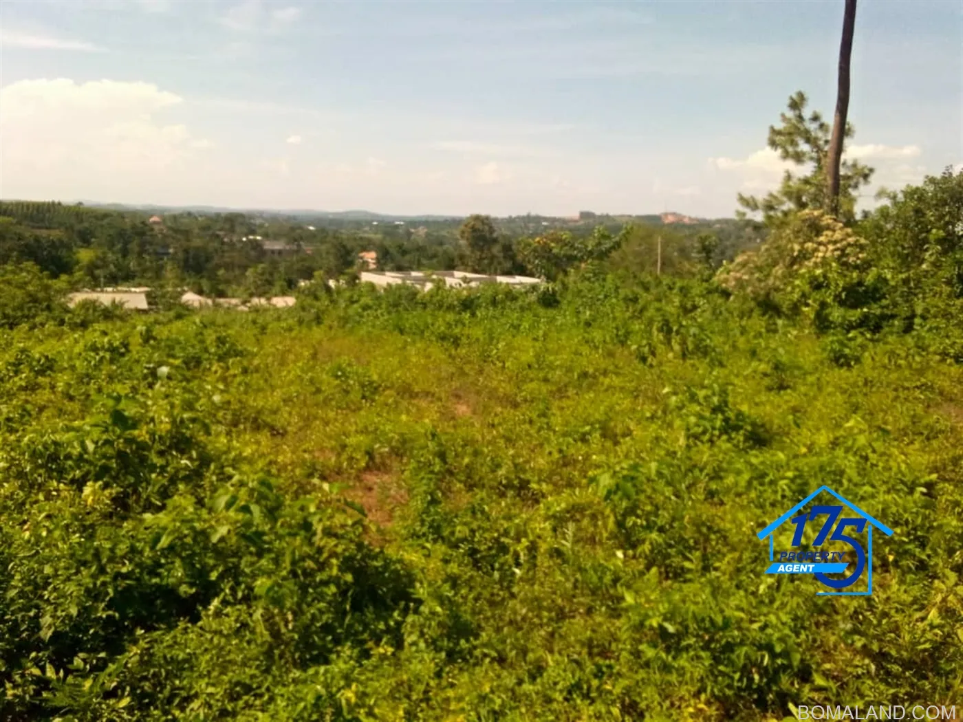 Residential Land for sale in Nabusugwe Wakiso Uganda