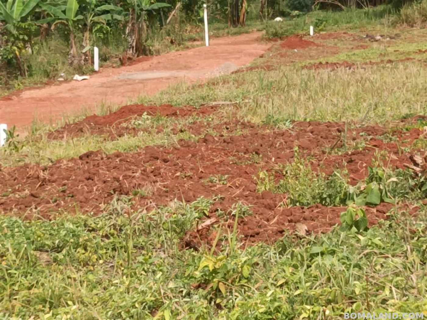 Residential Land for sale in Entebbe Wakiso Uganda