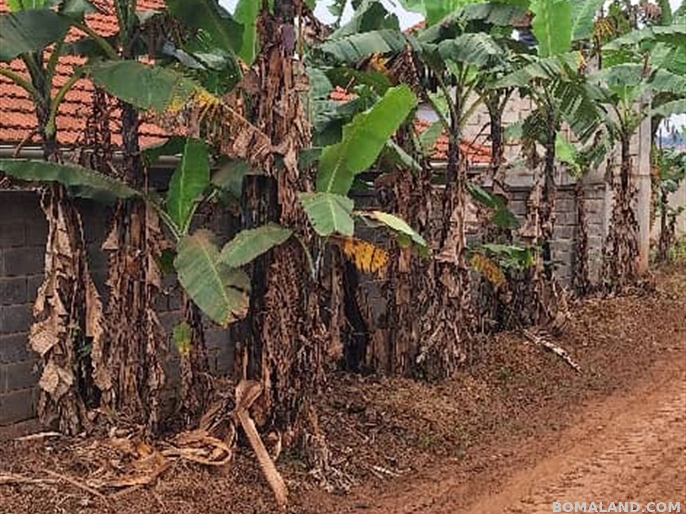 Residential Land for sale in Mulawa Wakiso Uganda