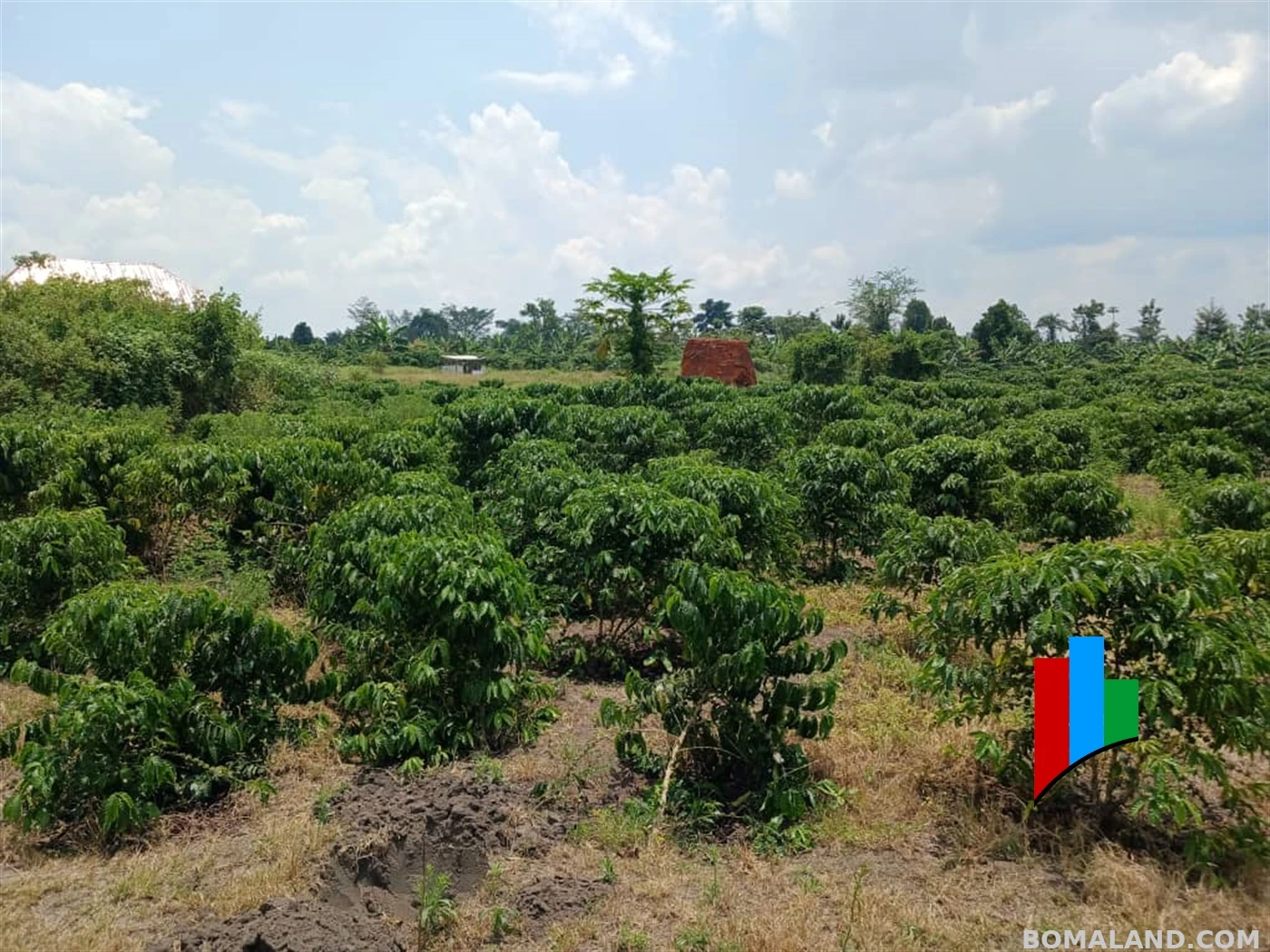 Agricultural Land for sale in Kiwoko Nakaseke Uganda