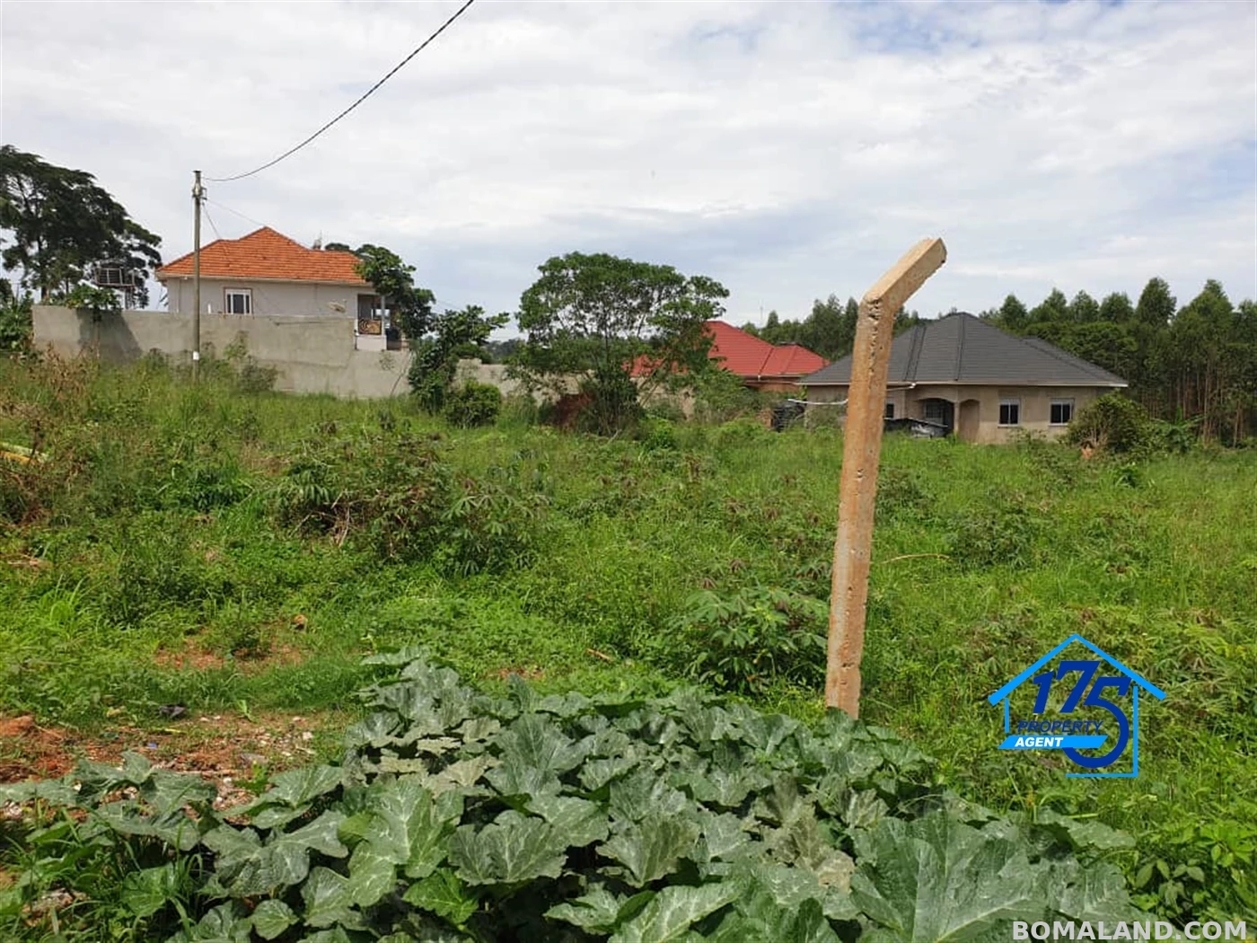 Residential Land for sale in Bukeelele Mukono Uganda