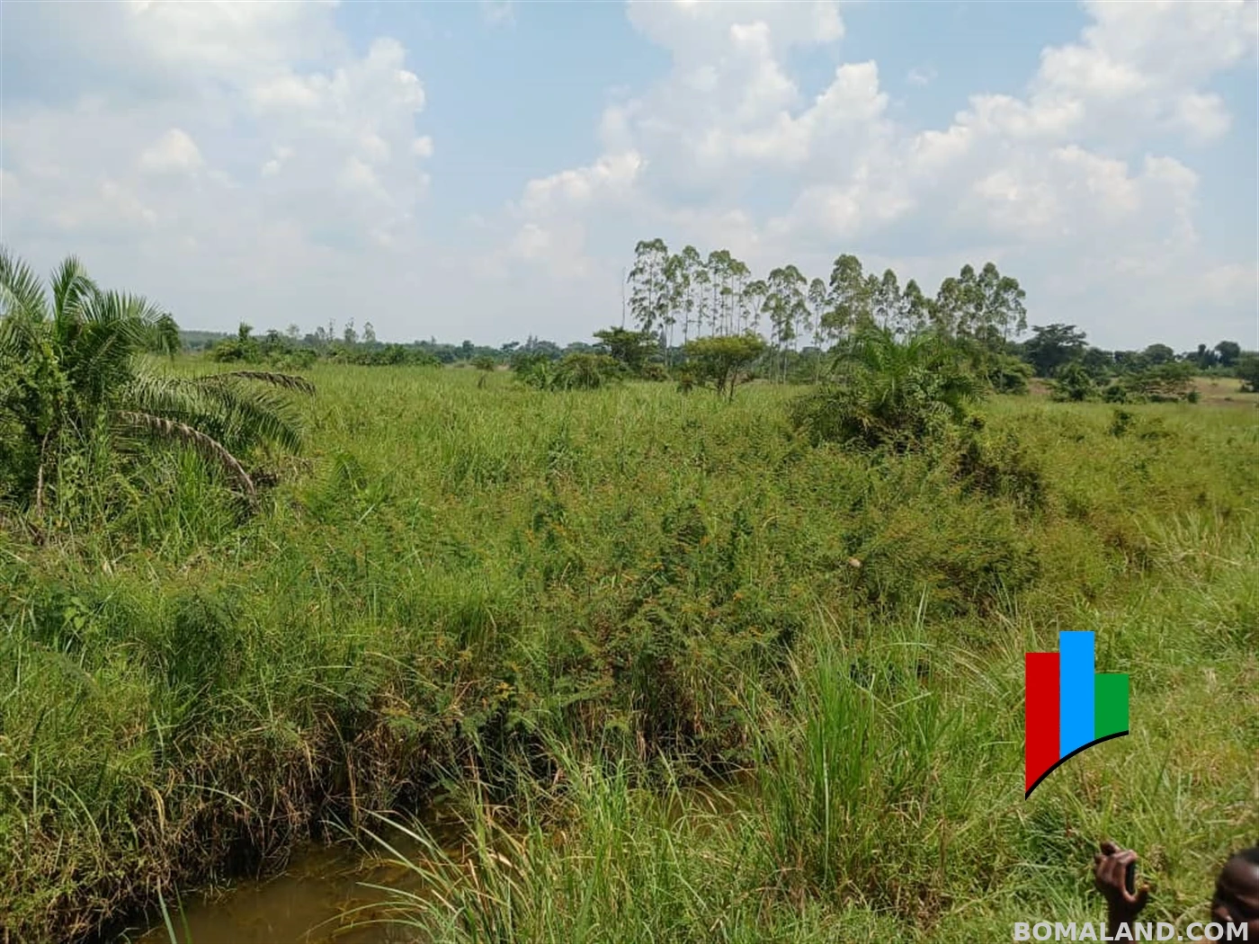 Agricultural Land for sale in Kiwoko Nakaseke Uganda