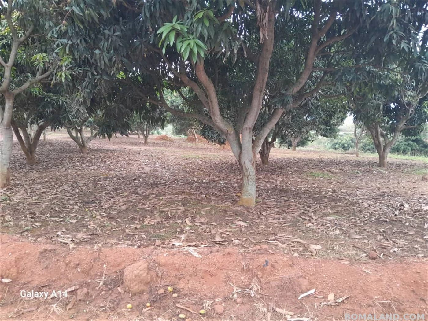 Residential Land for sale in Garugga Wakiso Uganda