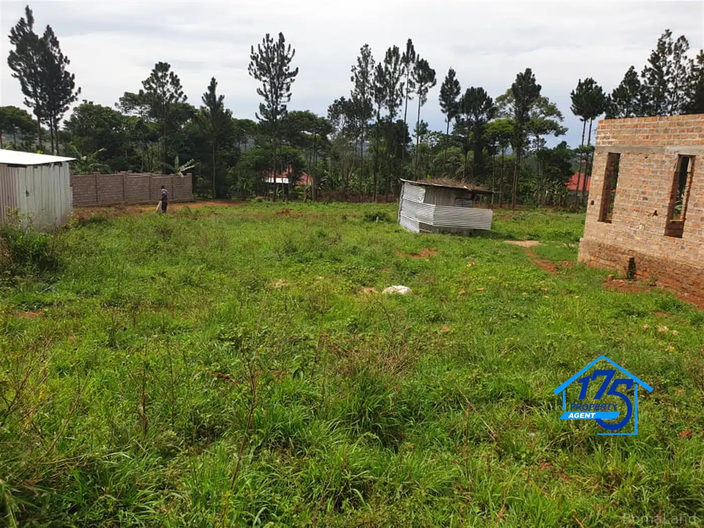 Residential Land for sale in Bukeelele Mukono Uganda
