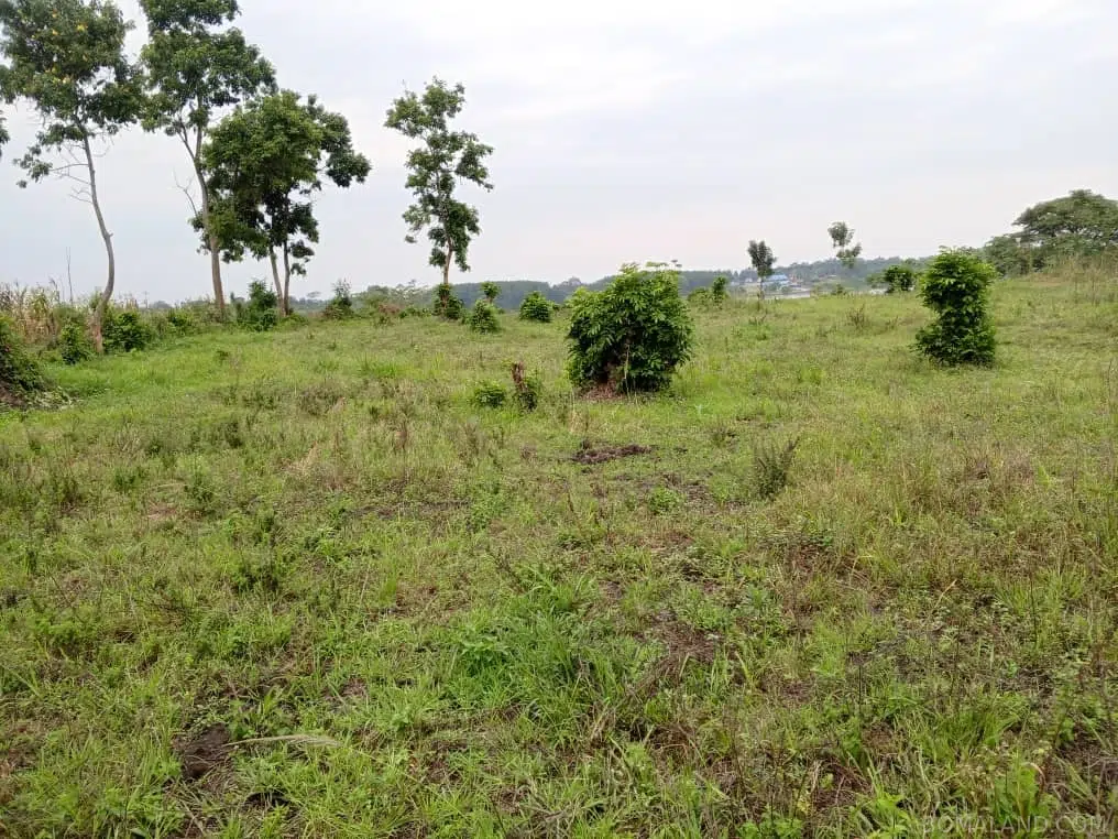 Recreational Land for sale in Namatogonya Kayunga Uganda