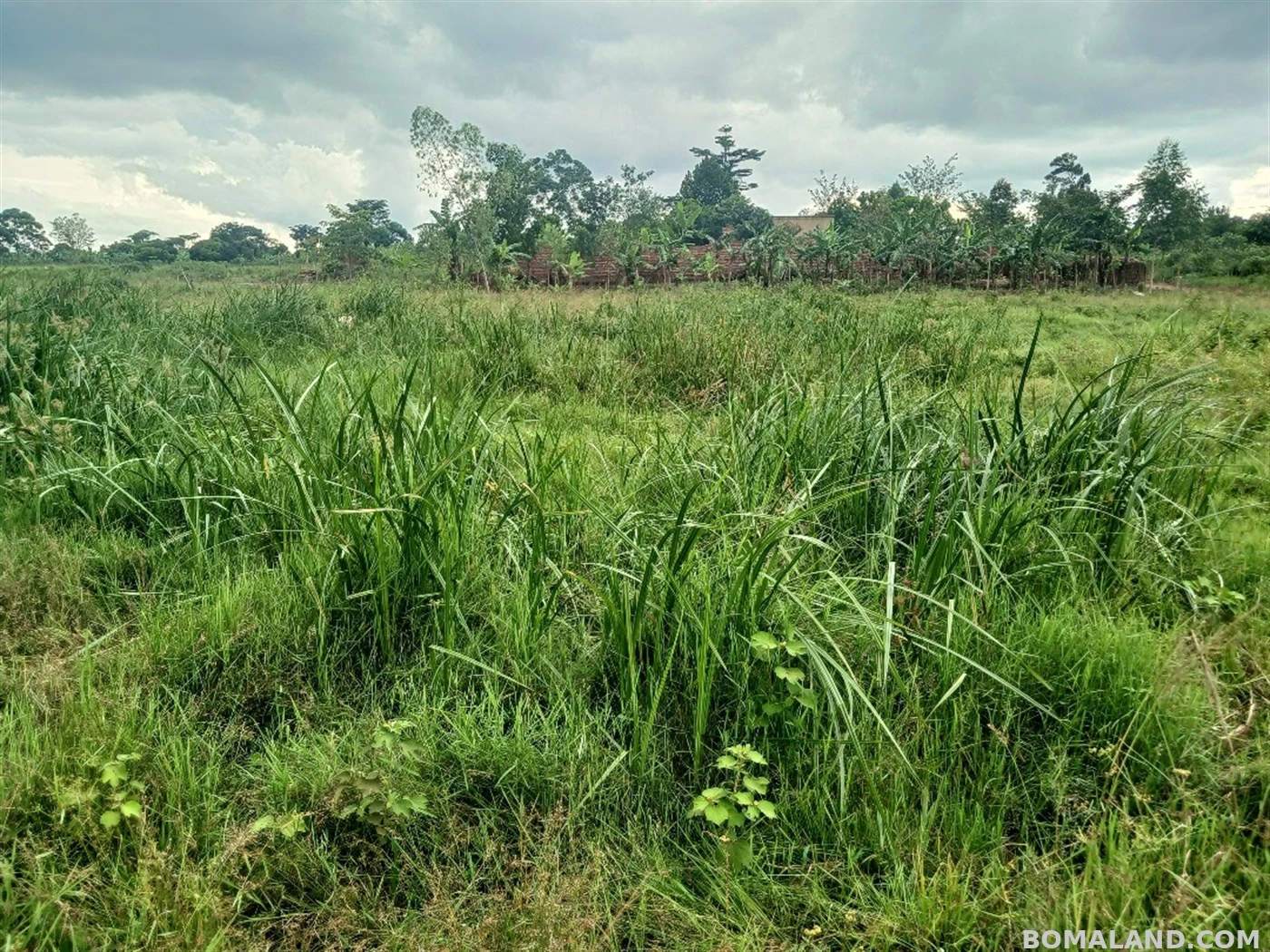 Recreational Land for sale in Ziloobwe Luweero Uganda