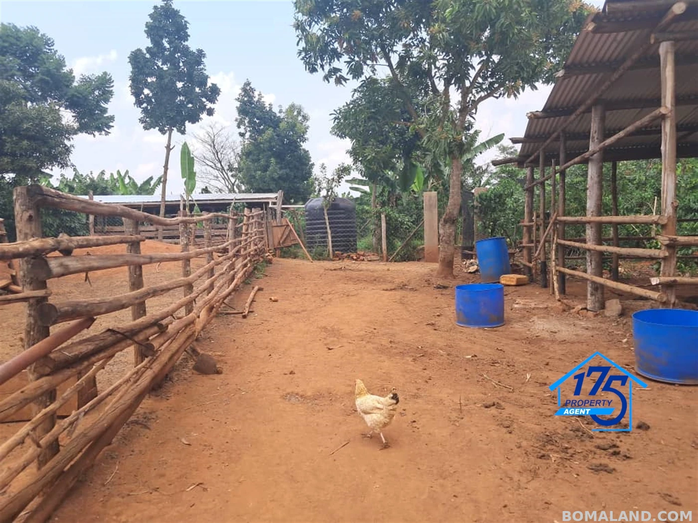Residential Land for sale in Wabitunguru Luweero Uganda