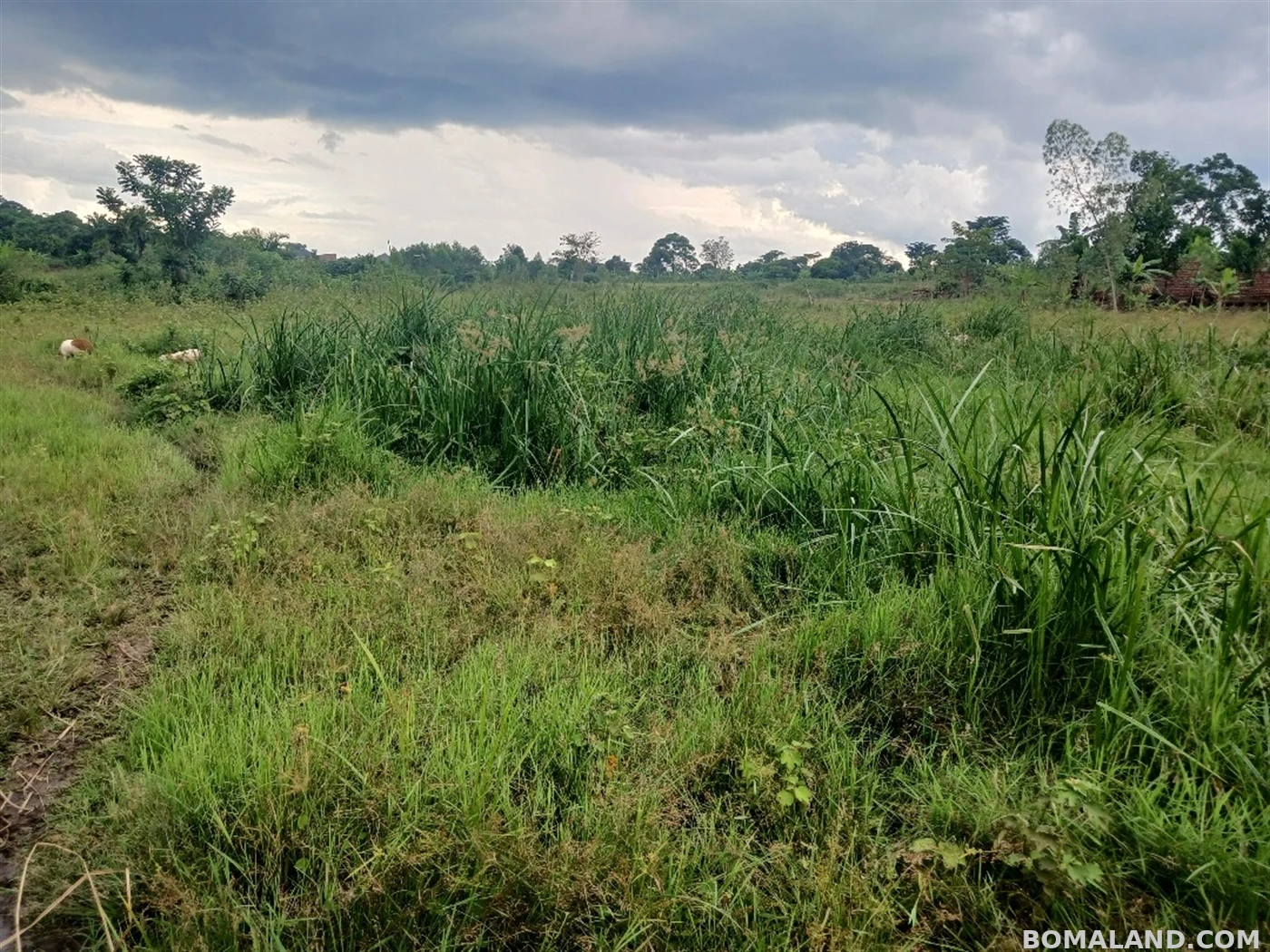 Recreational Land for sale in Ziloobwe Luweero Uganda