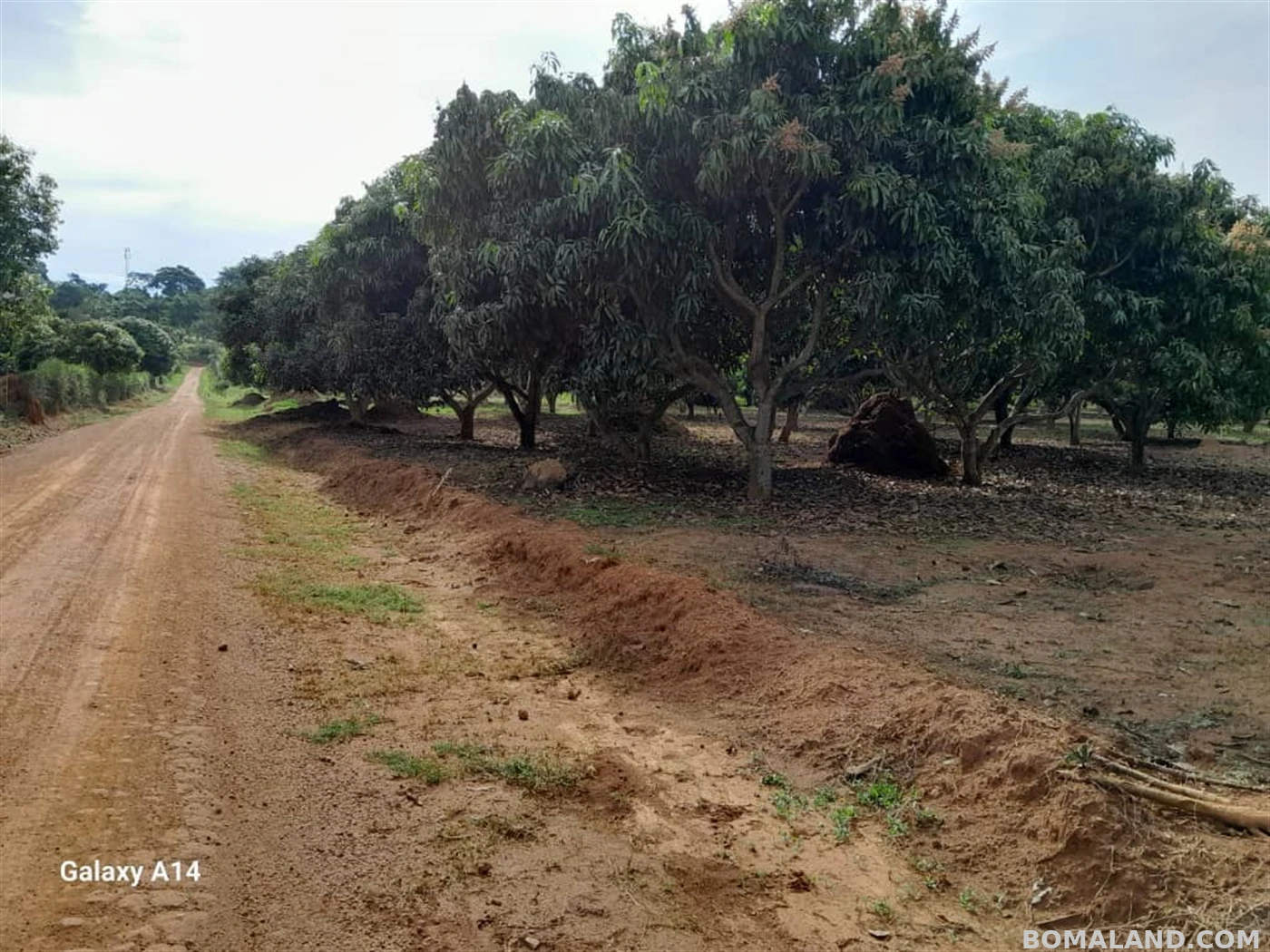 Residential Land for sale in Garugga Wakiso Uganda