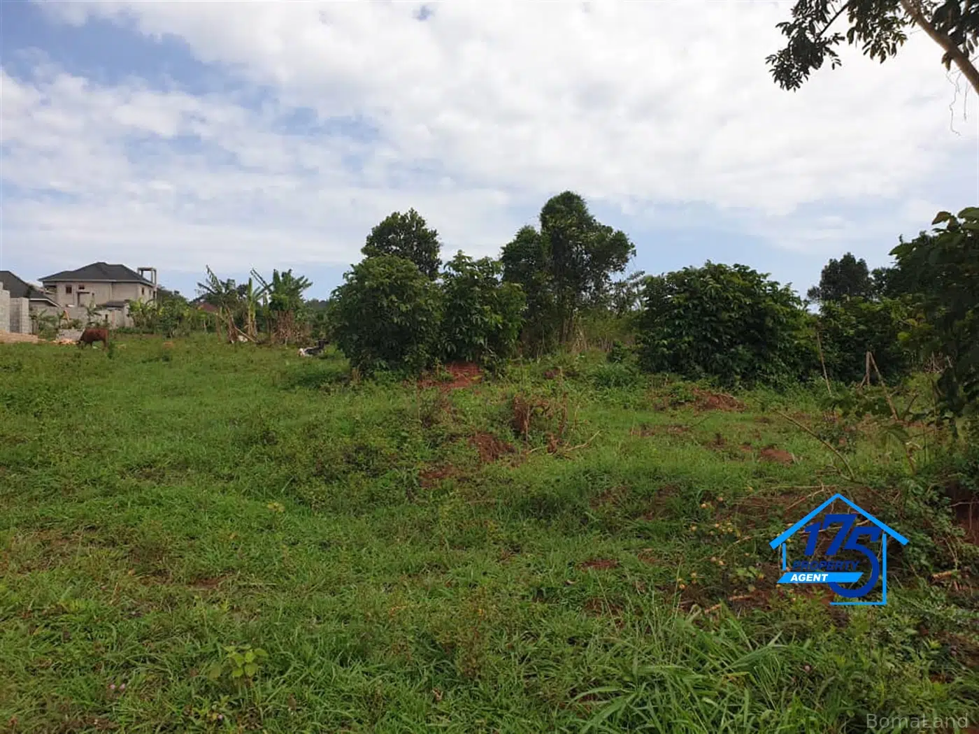 Residential Land for sale in Bukeelele Mukono Uganda