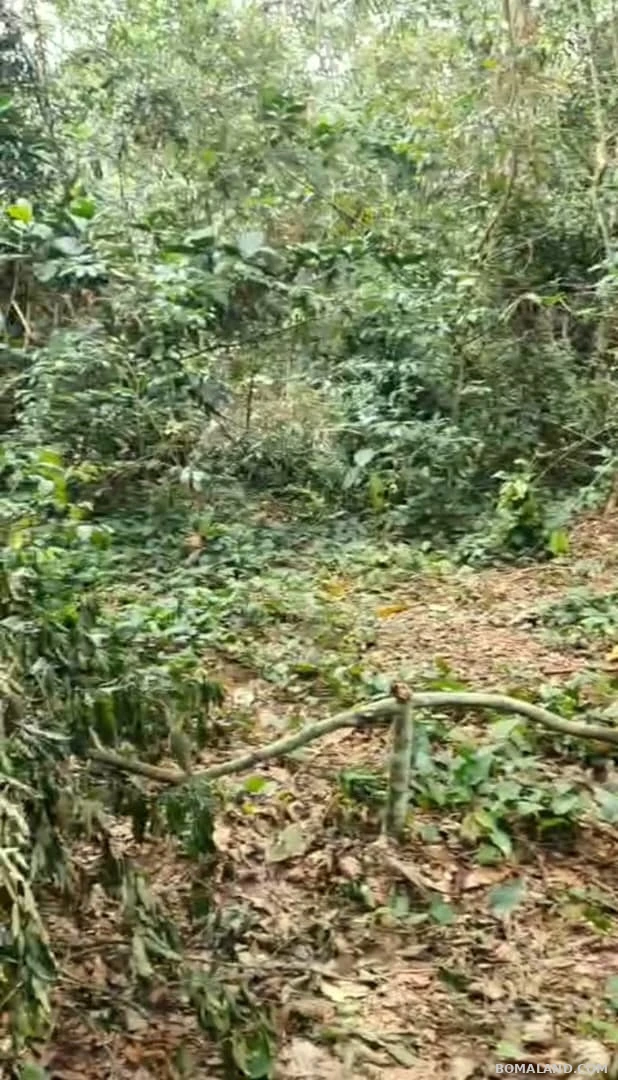 Agricultural Land for sale in Kyesiiga Kyotera Uganda