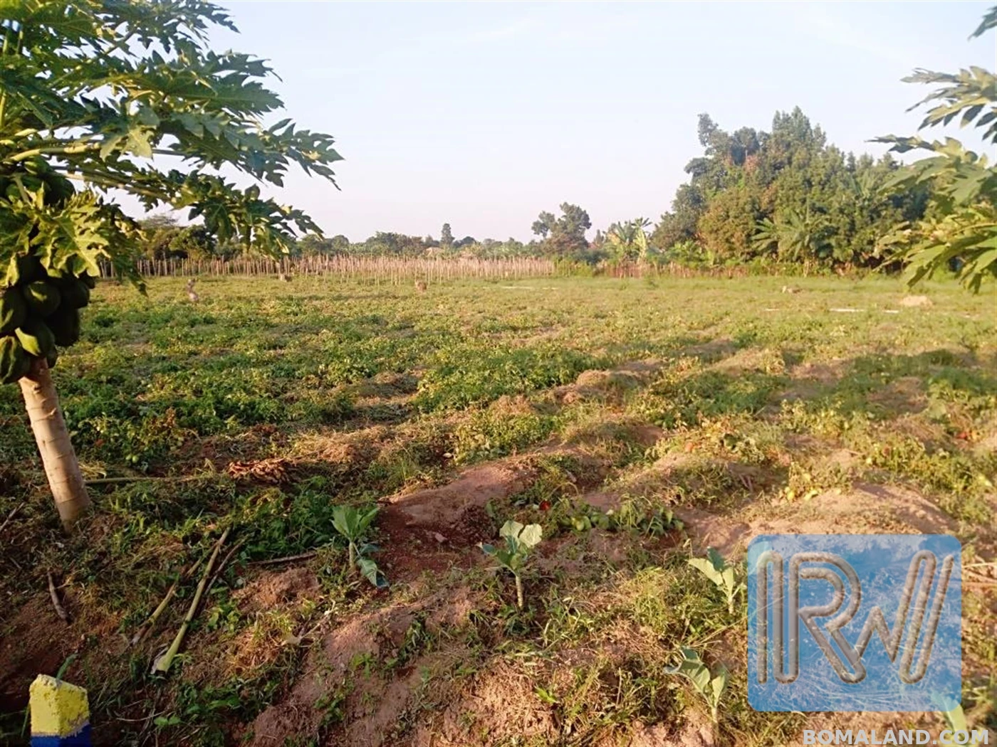 Residential Land for sale in Garuga Wakiso Uganda