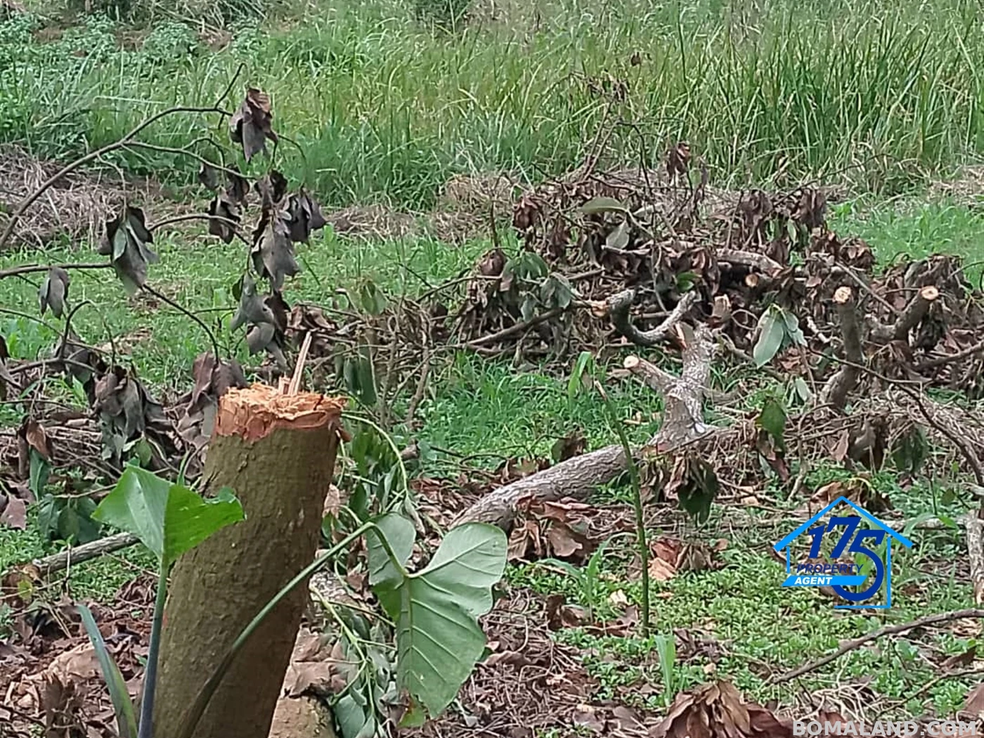 Residential Land for sale in Naalya Wakiso Uganda