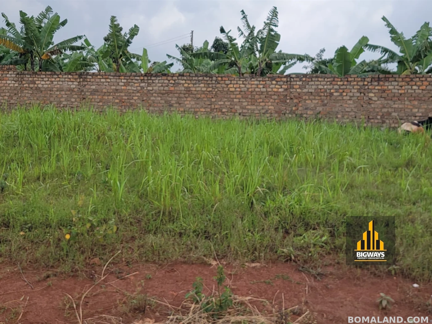 Recreational Land for sale in Kisaasi Kampala Uganda