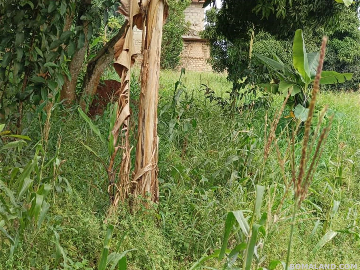 Residential Land for sale in Bwebajja Wakiso Uganda